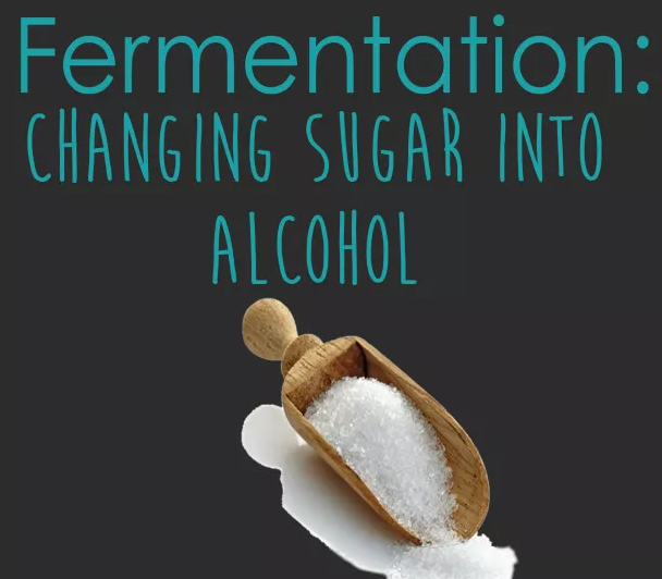 葡萄酒糖分越高，酒精度就越低？