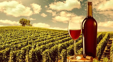 刷新拍賣紀錄的1945年羅曼尼·康帝是一款怎樣的酒?